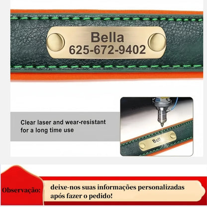 Custom Engraved Leather Dog Collar – Personalized Nameplate Collar for All Breeds