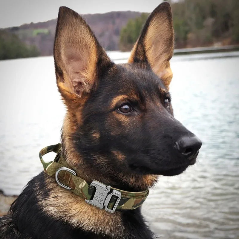 Military Tactical Dog Collar Camouflage Medium Large Dog Collars For Walking Training Duarable Dog Collar for German Shepard