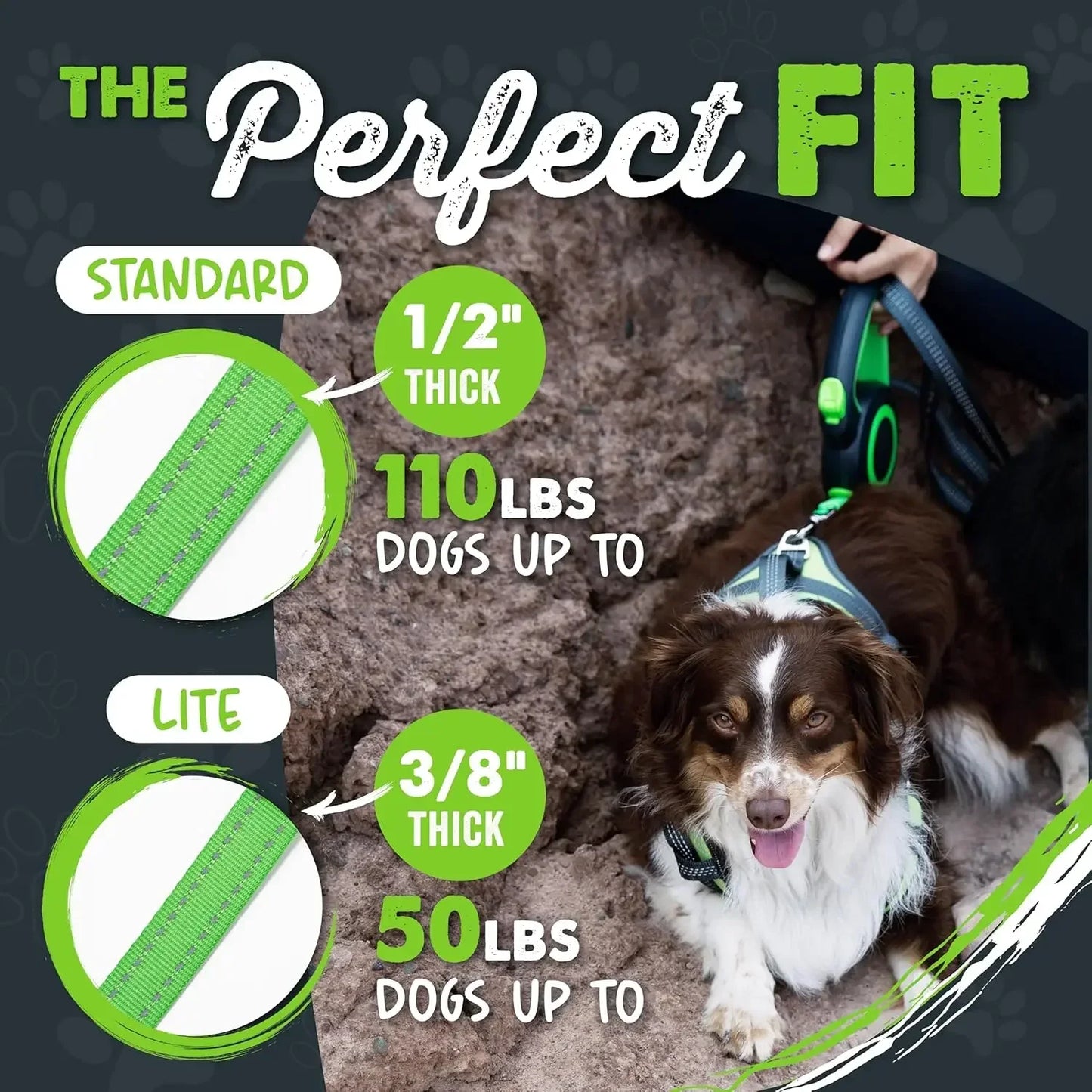 Retractable Dog Leash 16 ft – Reflective Nylon Tape Lead with Tangle-Free Swivel Clip