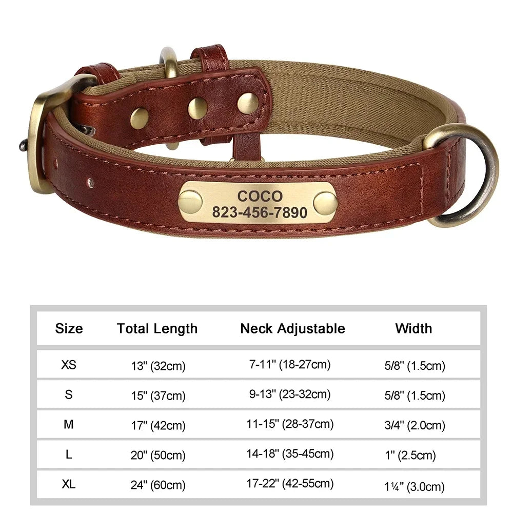 Custom Engraved Leather Dog Collar – Personalized Nameplate Collar for All Breeds
