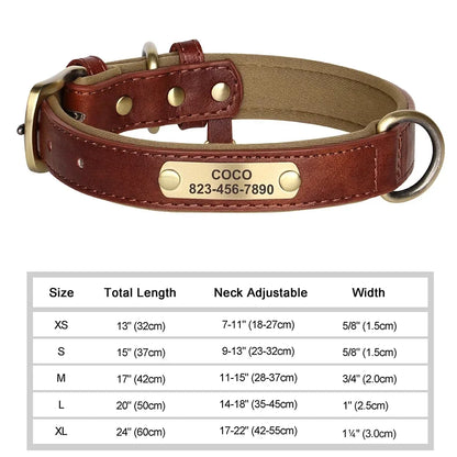 Custom Engraved Leather Dog Collar – Personalized Nameplate Collar for All Breeds