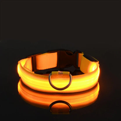 LED Dog Leash & Collar Set – Glow-in-the-Dark Flashing Nylon Safety Gear for Night Walking and Outdoor Adventures