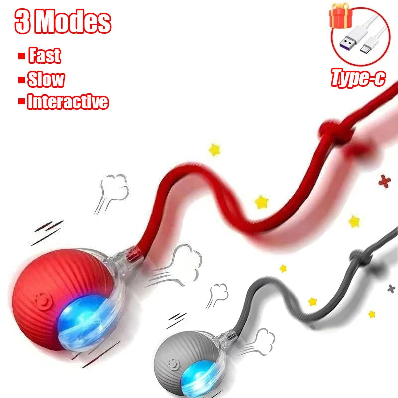 Automatic Rolling Cat Toy Ball – Rechargeable Smart Ball with Faux Tail Mouse Chase Toy for Cats & Small Dogs