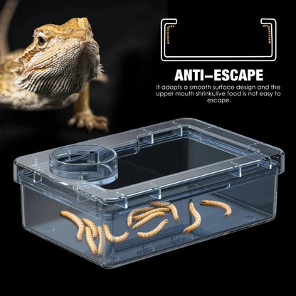 Reptile Lizards Geckos Feeding Bowls Anti Overturning Prevent Tenebrio Molitor and Blaptica Dubia Trough Feeder Anti Escape