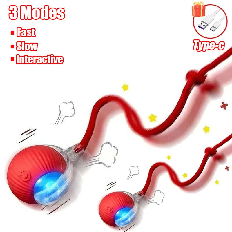 Automatic Rolling Cat Toy Ball – Rechargeable Smart Ball with Faux Tail Mouse Chase Toy for Cats & Small Dogs
