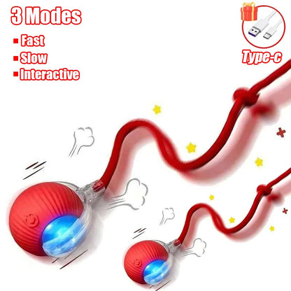 Automatic Rolling Cat Toy Ball – Rechargeable Smart Ball with Faux Tail Mouse Chase Toy for Cats & Small Dogs