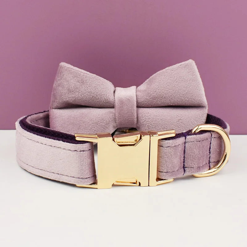 Custom Engraved Velvet Dog Collar and Leash Set – Personalized for Medium & Large Dogs