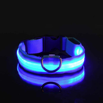 LED Dog Leash & Collar Set – Glow-in-the-Dark Flashing Nylon Safety Gear for Night Walking and Outdoor Adventures