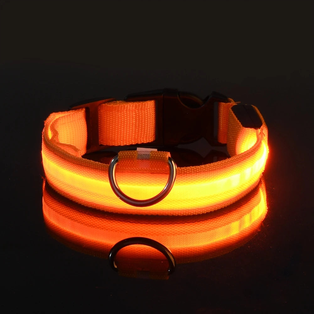LED Dog Leash & Collar Set – Glow-in-the-Dark Flashing Nylon Safety Gear for Night Walking and Outdoor Adventures
