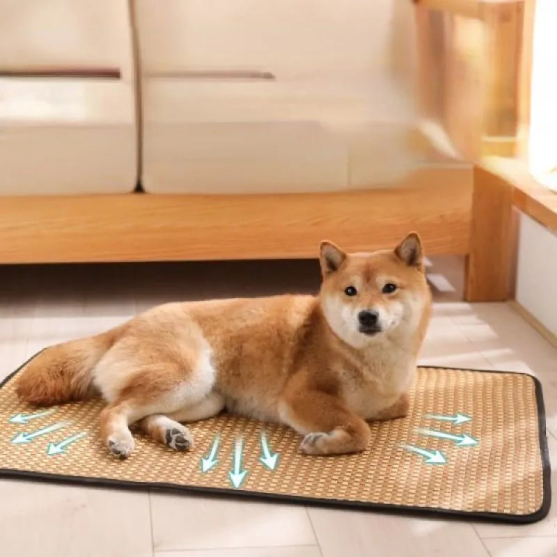 Dog Cooling Mat – Summer Cooling Pet Bed & Ice Pad for Small, Medium & Large Dogs and Cats