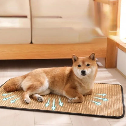 Dog Cooling Mat – Summer Cooling Pet Bed & Ice Pad for Small, Medium & Large Dogs and Cats