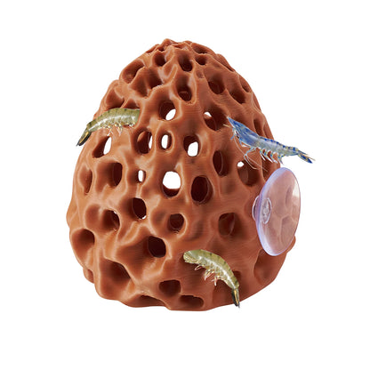 Aquarium Shrimp & Betta Fish Hideout – Suction Cup Hiding Shelter for Small Fish, Guppies & Shrimp