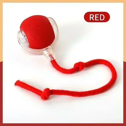 Automatic Rolling Interactive Pet Ball – Rechargeable Electric Cat & Dog Toy with Simulated Mouse Movement for Exercise & Training