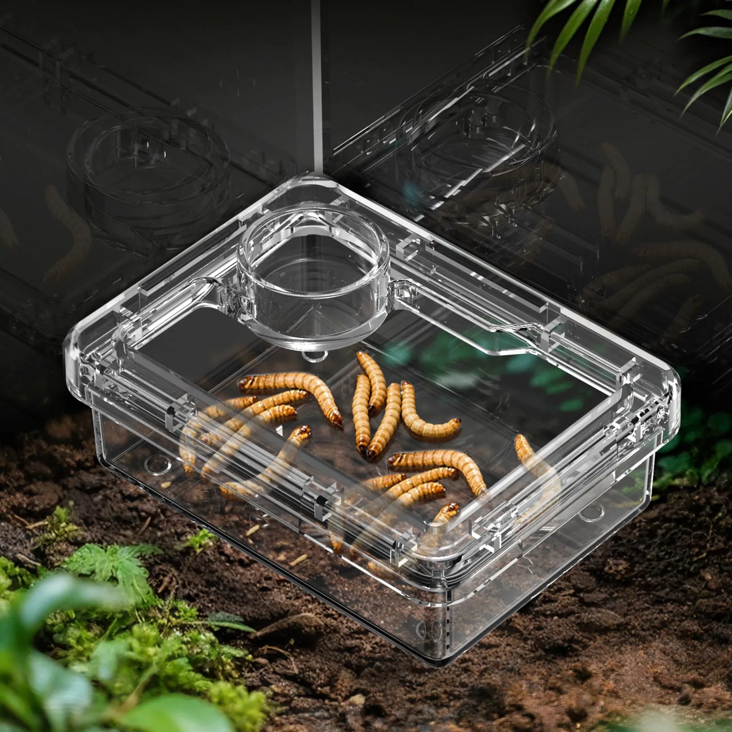 Anti-Escape Reptile Feeding & Water Bowl – Escape-Proof Dish for Lizards, Geckos, Mealworms & Dubia Roaches