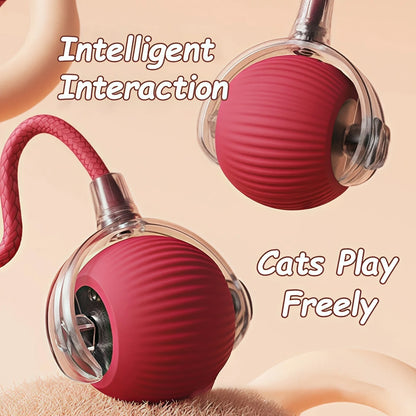 Automatic Rolling Cat Toy Ball – Rechargeable Smart Ball with Faux Tail Mouse Chase Toy for Cats & Small Dogs