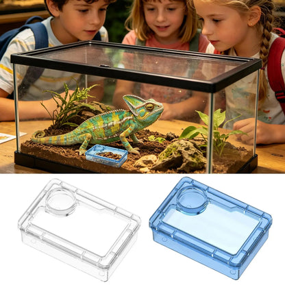 Escape-Proof Reptile Feeding Bowl – Food Dish for Geckos, Frogs, Spiders, Lizards & Other Exotic Pets