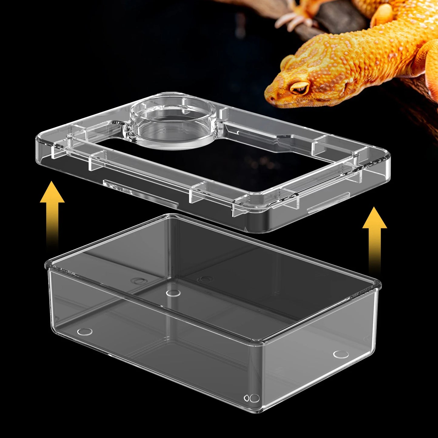 Anti-Escape Reptile Feeding & Water Bowl – Escape-Proof Dish for Lizards, Geckos, Mealworms & Dubia Roaches