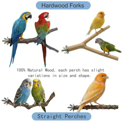 8-Piece Bird Perch & Play Gym Set – Climbing Ladder and Exercise Toys for Parrots & Parakeets