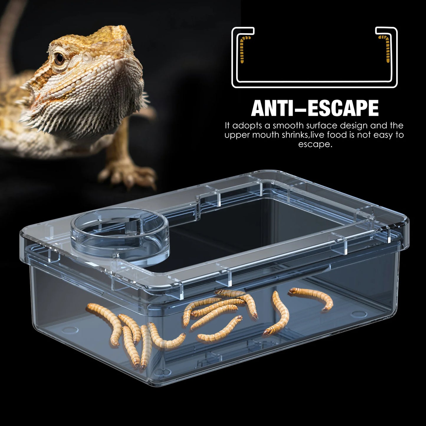 Anti-Escape Reptile Feeding & Water Bowl – Escape-Proof Dish for Lizards, Geckos, Mealworms & Dubia Roaches