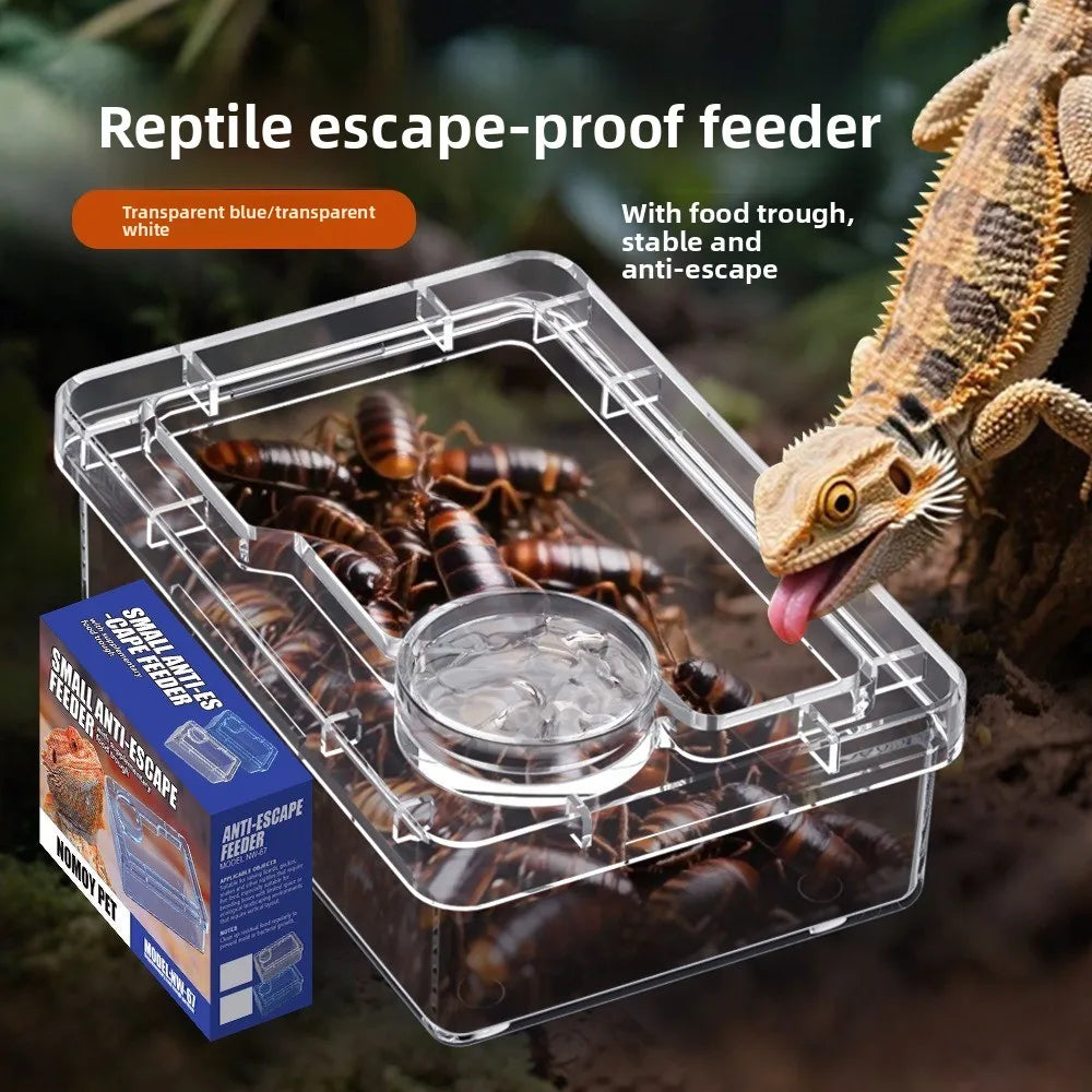 Reptile Lizards Geckos Feeding Bowls Anti Overturning Prevent Tenebrio Molitor and Blaptica Dubia Trough Feeder Anti Escape