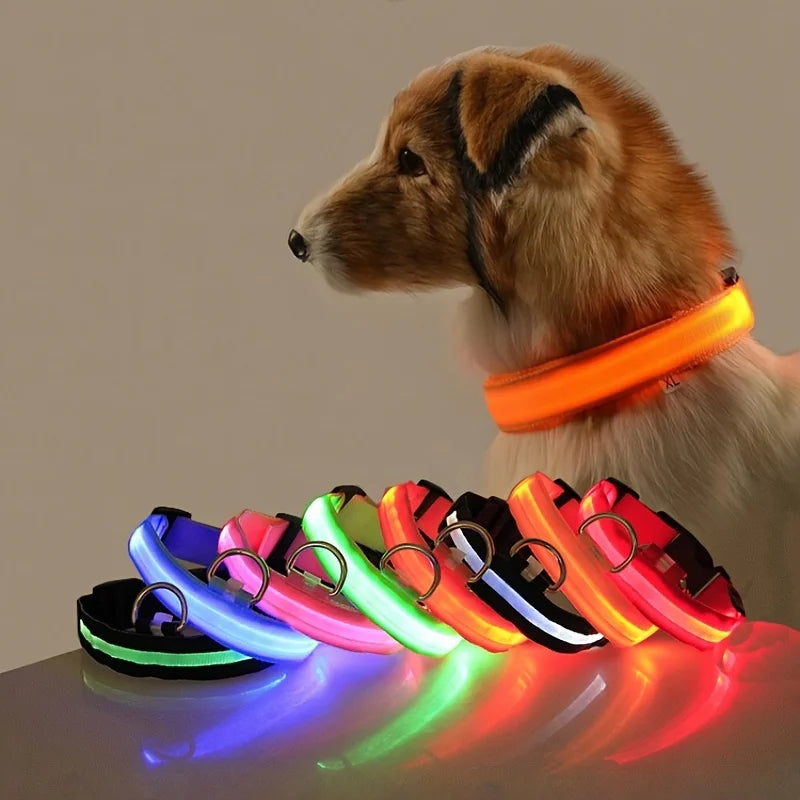 LED Dog Leash & Collar Set – Glow-in-the-Dark Flashing Nylon Safety Gear for Night Walking and Outdoor Adventures