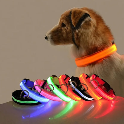 LED Dog Leash & Collar Set – Glow-in-the-Dark Flashing Nylon Safety Gear for Night Walking and Outdoor Adventures