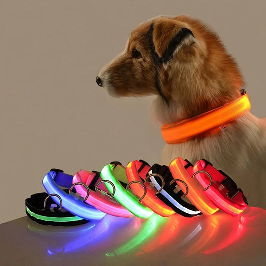 LED Dog Leash & Collar Set – Glow-in-the-Dark Flashing Nylon Safety Gear for Night Walking and Outdoor Adventures
