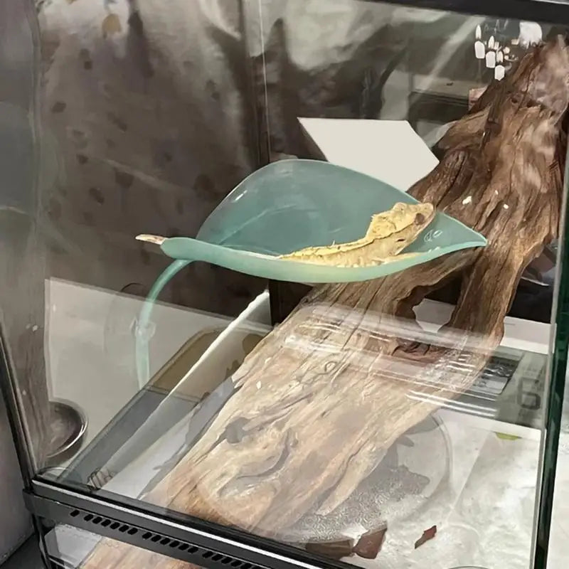 Reptile Leaf Hammock with Suction Cups – Basking Platform & Resting Terrace for Geckos, Frogs & Lizards