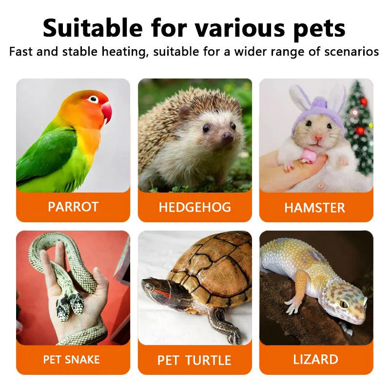 Ceramic Heat Emitter Bulb – 25W/50W/75W Pet Heating Lamp for Reptiles, Chicks & Brooders