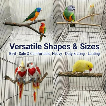 8-Piece Bird Perch & Play Gym Set – Climbing Ladder and Exercise Toys for Parrots & Parakeets