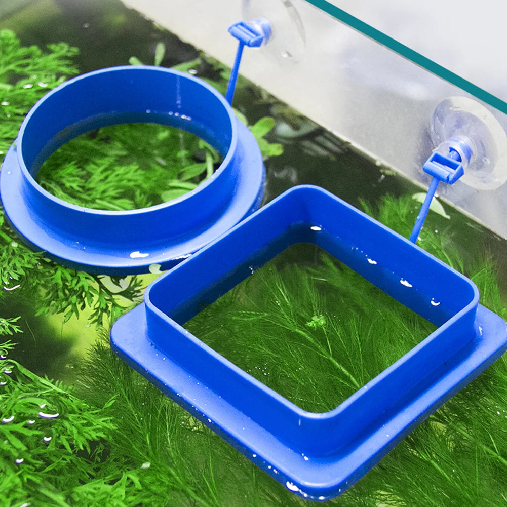 Aquarium Suction Cup Ring Feeder – Floating Fish Feeding Station & Food Tray for Fish Tanks