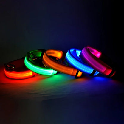 LED Dog Leash & Collar Set – Glow-in-the-Dark Flashing Nylon Safety Gear for Night Walking and Outdoor Adventures