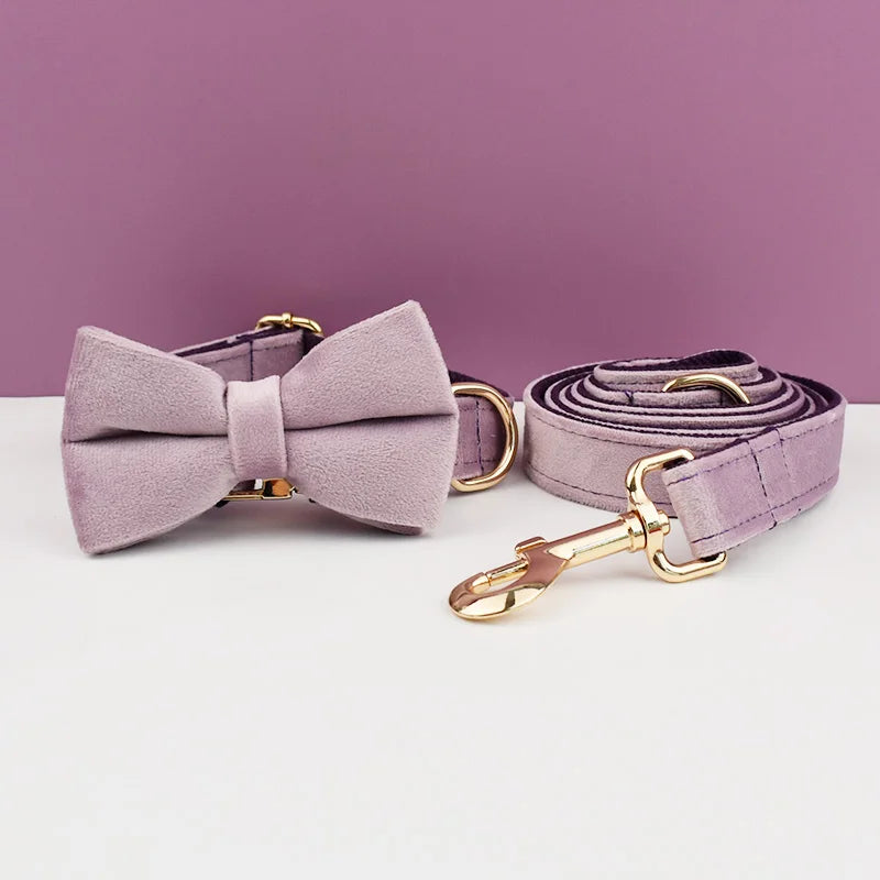 Custom Engraved Velvet Dog Collar and Leash Set – Personalized for Medium & Large Dogs