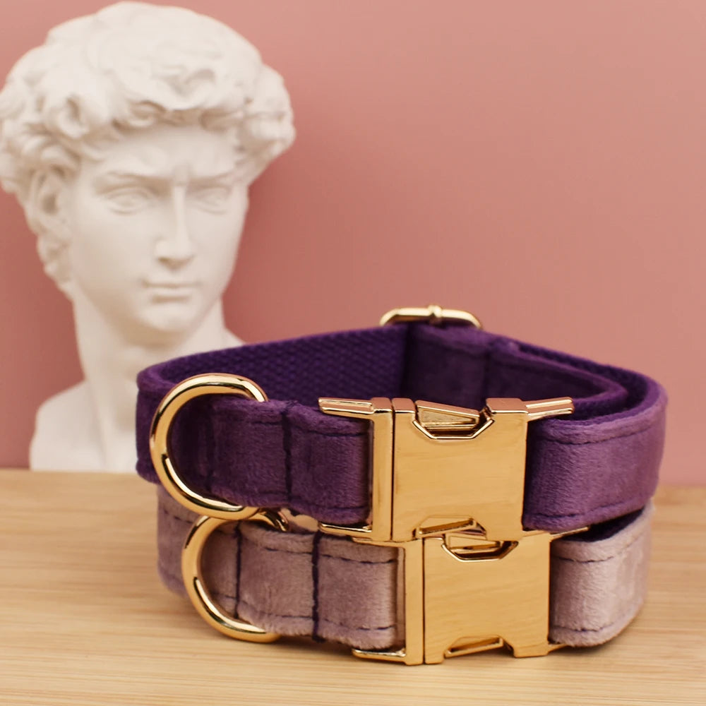Custom Engraved Velvet Dog Collar and Leash Set – Personalized for Medium & Large Dogs