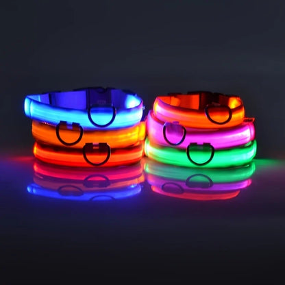 LED Dog Leash & Collar Set – Glow-in-the-Dark Flashing Nylon Safety Gear for Night Walking and Outdoor Adventures