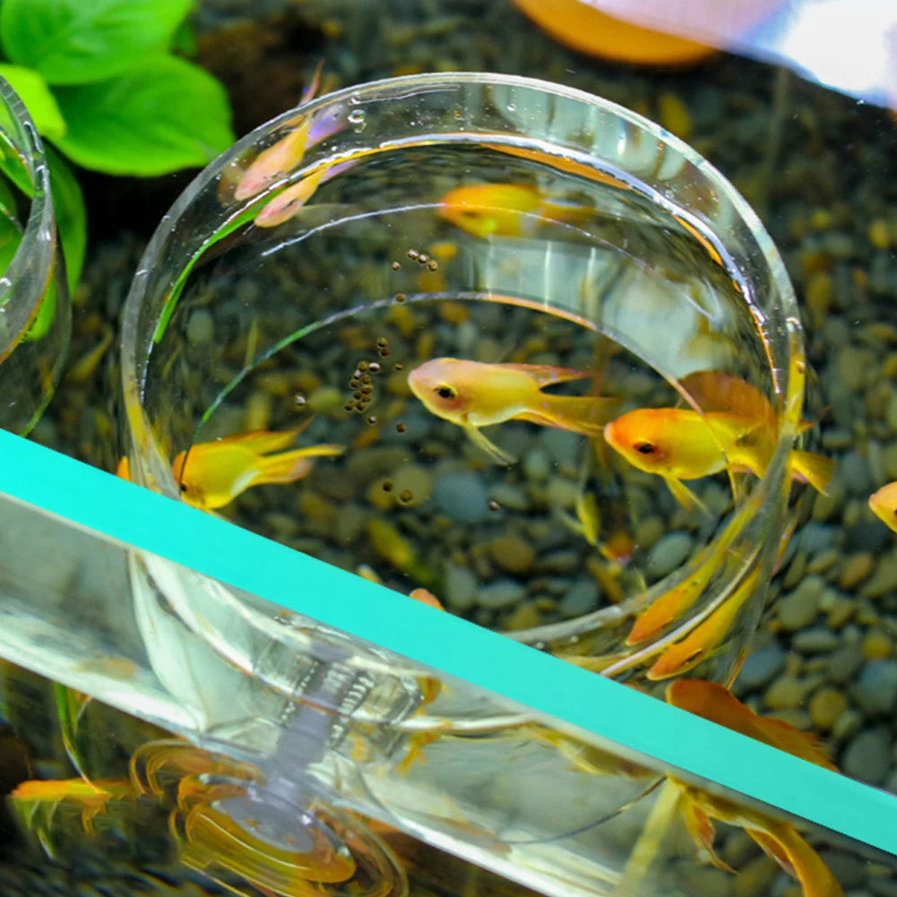 Aquarium Suction Cup Ring Feeder – Floating Fish Feeding Station & Food Tray for Fish Tanks