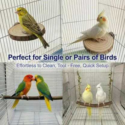 8-Piece Bird Perch & Play Gym Set – Climbing Ladder and Exercise Toys for Parrots & Parakeets