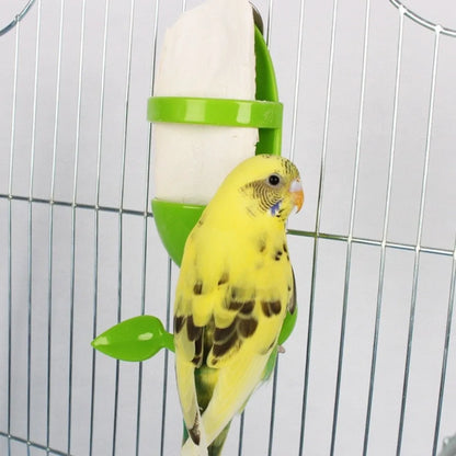4Pcs Durable Foraging Feeder Box Portable Easy Clean Cuttlebone Feeder Hanging Interactive Feeding Perch Toy Parrot