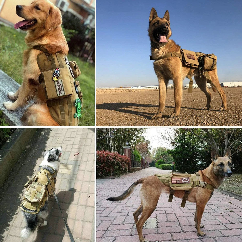 Personalized Tactical Dog Patch – Custom Name ID Label for Dog Harness, Vest & Collar