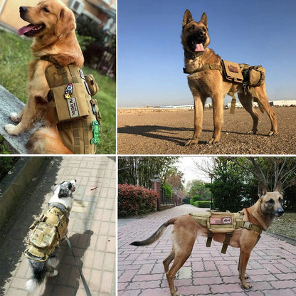Personalized Tactical Dog Patch – Custom Name ID Label for Dog Harness, Vest & Collar
