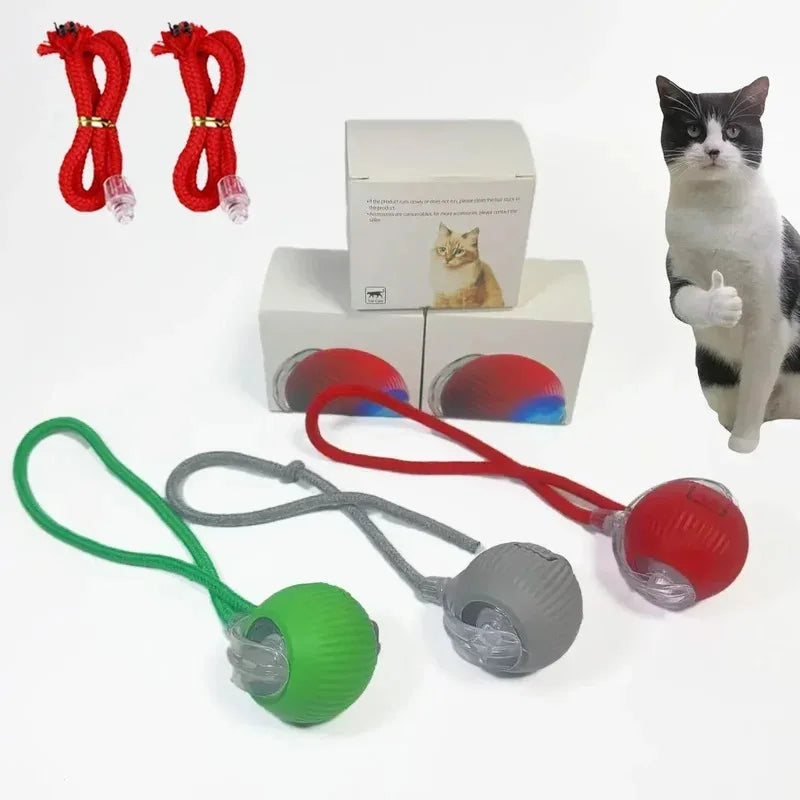 Automatic Rolling Interactive Pet Ball – Rechargeable Electric Cat & Dog Toy with Simulated Mouse Movement for Exercise & Training
