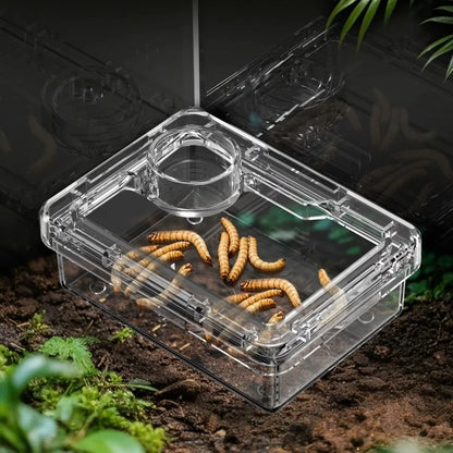 Reptile Lizards Geckos Feeding Bowls Anti Overturning Prevent Tenebrio Molitor and Blaptica Dubia Trough Feeder Anti Escape