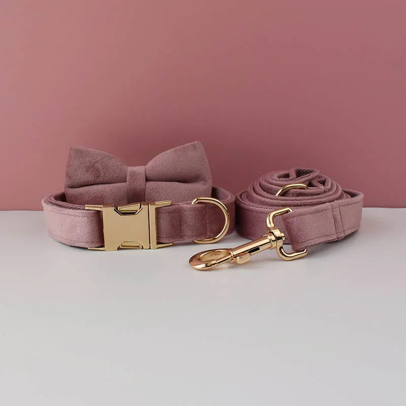 Custom Engraved Velvet Dog Collar and Leash Set – Personalized for Medium & Large Dogs