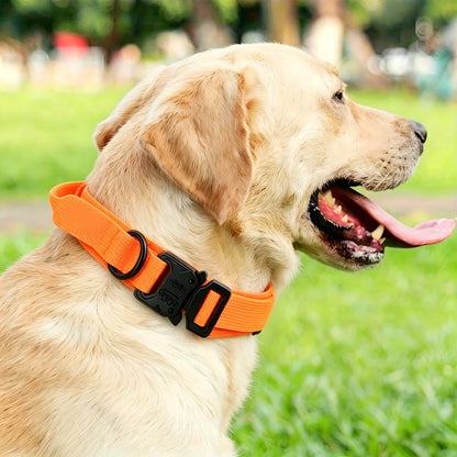 Tactical Dog Collar with Control Handle – Adjustable Heavy-Duty Military Nylon Collar for Medium & Large Dogs