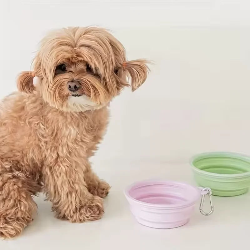 Foldable Silicone Pet Bowl – Portable Travel Food & Water Bowl for Dogs, Cats & Outdoor Adventures
