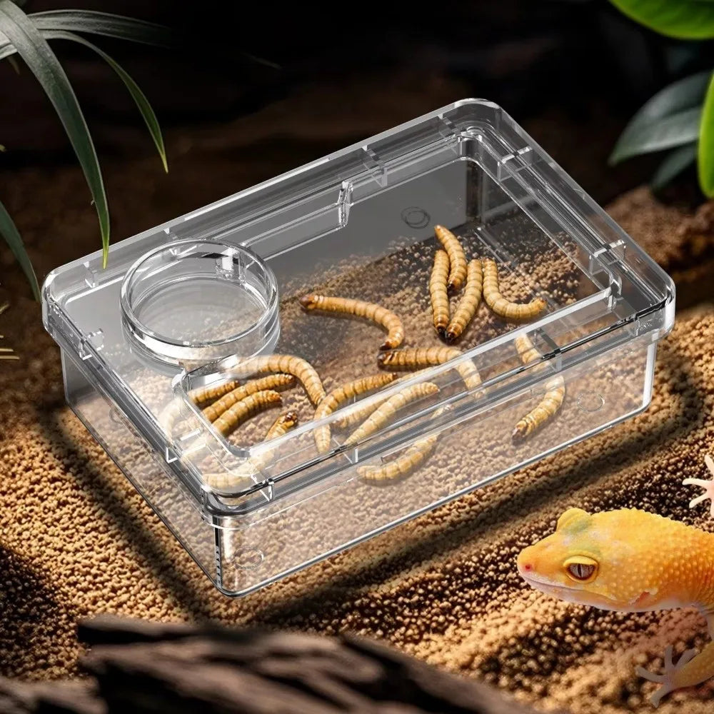 Reptile Lizards Geckos Feeding Bowls Anti Overturning Prevent Tenebrio Molitor and Blaptica Dubia Trough Feeder Anti Escape