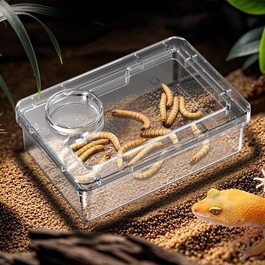 Reptile Lizards Geckos Feeding Bowls Anti Overturning Prevent Tenebrio Molitor and Blaptica Dubia Trough Feeder Anti Escape