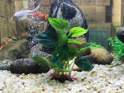 Artificial Aquarium Plant with Large Green Leaves – Realistic Fish Tank Decoration for Freshwater & Tropical Aquariums