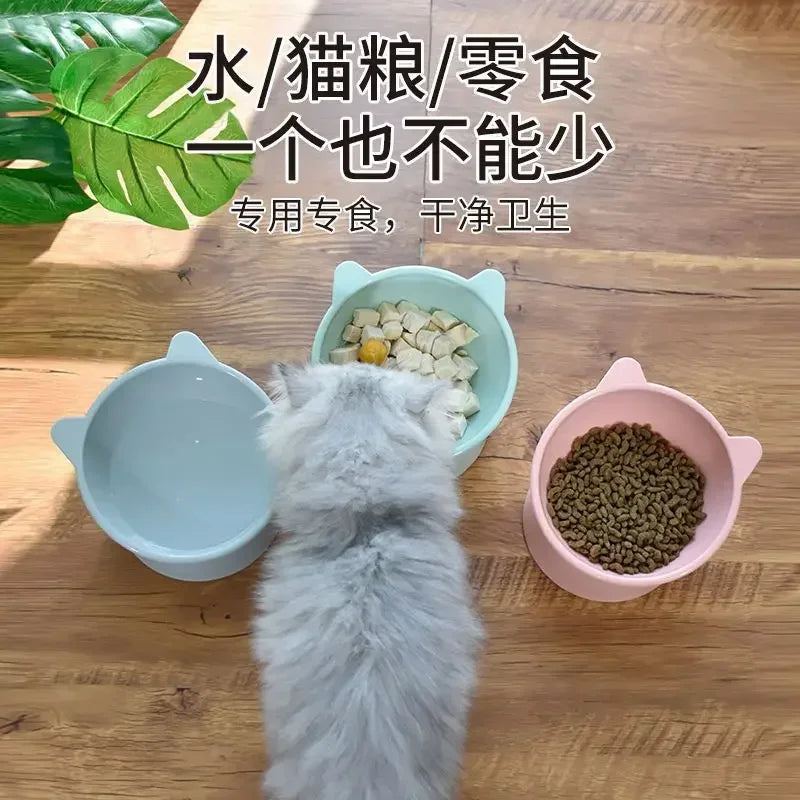 Elevated Pet Bowl – 45° Tilted Anti-Tip Feeding Bowl with Non-Slip Base & Neck Protection for Cats & Dogs