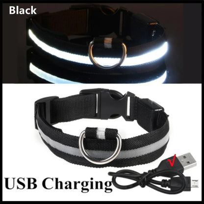 USB Rechargeable LED Glowing Dog Collar – Adjustable Light-Up Safety Collar for Small & Large Dogs and Cats
